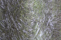 Aldfield fibreglass roof work